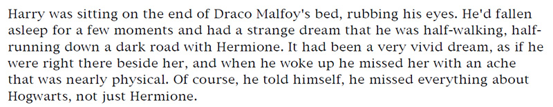 Harry was sitting on the end of Draco Malfoy's bed, rubbing his eyes. He'd fallen asleep for a few moments and had a strange dream that he was half-walking, half-running down a dark road with Hermione. It had been a very vivid dream, as if he were right there beside her, and when he woke up he missed her with an ache that was nearly physical. Of course, he told himself, he missed everything about Hogwarts, not just Hermione.