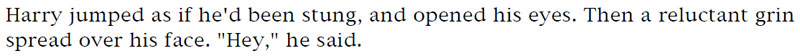 Harry jumped as if he'd been stung, and opened his eyes. Then a reluctant grin spread over his face. 'Hey,' he said.
