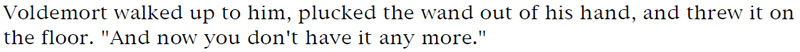 Voldemort walked up to him, plucked the wand out of his hand, and threw it on the floor. 'And now you don't have it any more.'