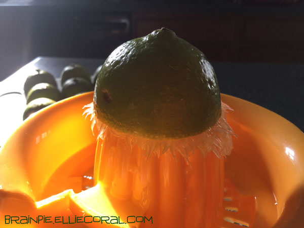 Half of a lime sits atop a juicer. Its pulp sprays around the juicer plastic like a frayed collar.