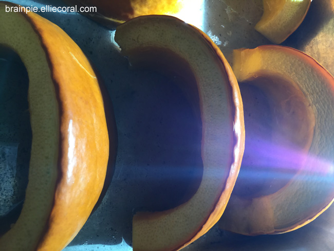 A closeup of the pumpkin slices. The shells appear crimped around the shrunken pumpkin meat. A ray of light, shaded purple and blue, shines from the lower right of the image.