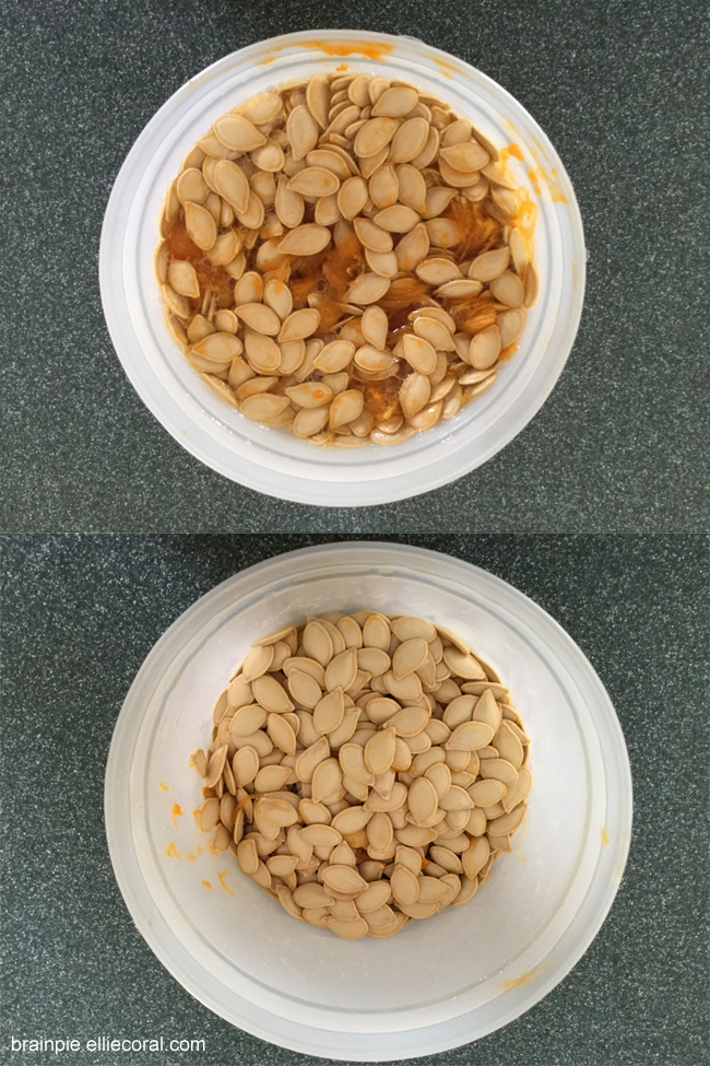 Two images showing the before and after of pumpkin seeds separated from the guts.