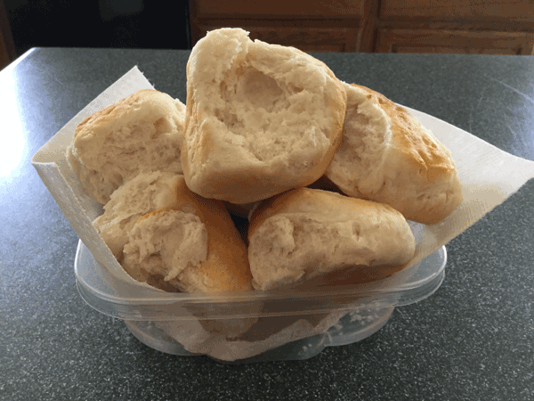 The biscuits arranged in a repurposed plastic container.